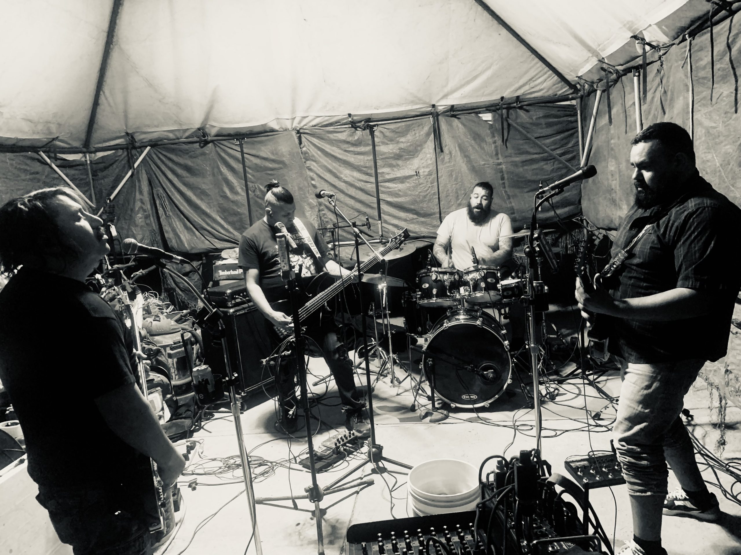 Cerebros de Mono